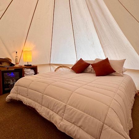 Hotel Coyote Alcocer المظهر الخارجي الصورة